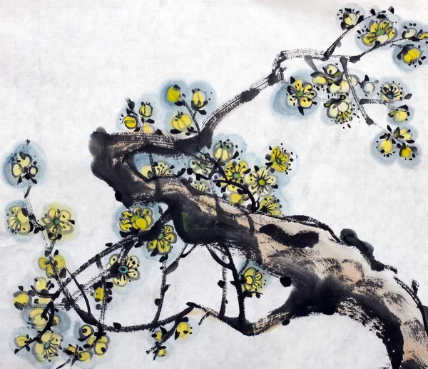 Blommande gren av plommon — Stockfoto