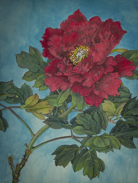 Κόκκινη παιωνία λουλούδι — Φωτογραφία Αρχείου