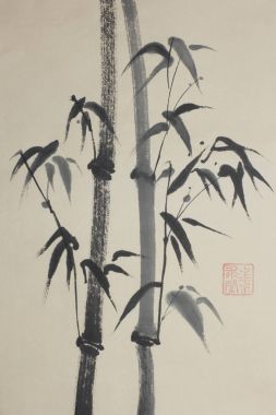 Grup bambu ağaçlarının