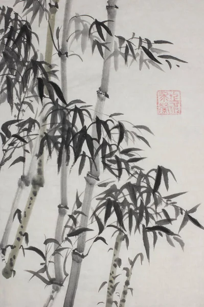 Groep van bamboe bomen — Stockfoto