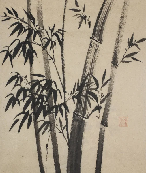 Group of bamboo trees