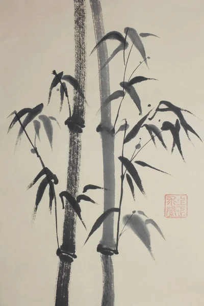 Group of bamboo trees