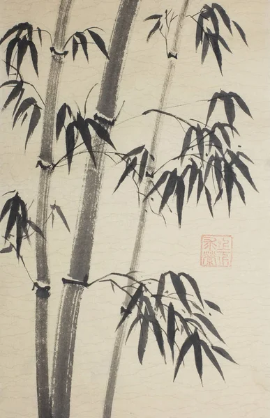 Skupina bambusů — Stock fotografie