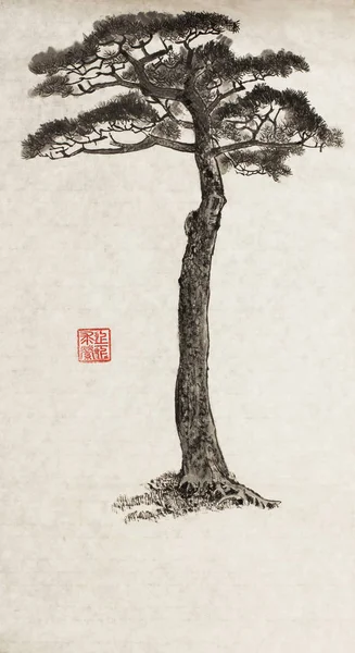 Large pine tree — Stock Photo, Image
