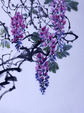İhale çiçekli wisteria