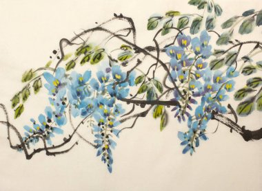 İhale çiçekli wisteria