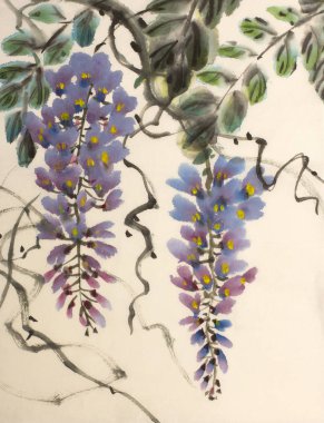 İhale çiçekli wisteria