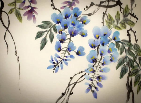 Delikatnie kwitnąca wisteria — Zdjęcie stockowe