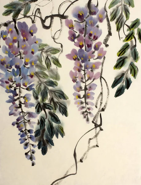İhale çiçekli wisteria