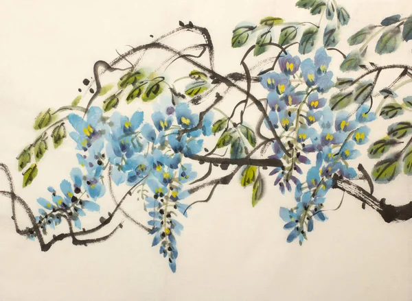 İhale çiçekli wisteria