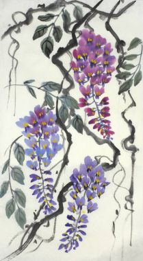 İhale çiçekli wisteria