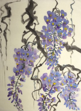 İhale çiçekli wisteria