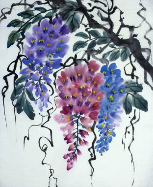 İhale çiçekli wisteria