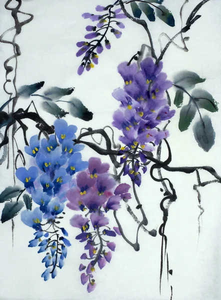 İhale çiçekli wisteria — Stok fotoğraf