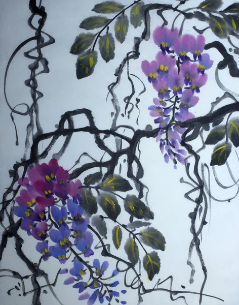 İhale çiçekli wisteria