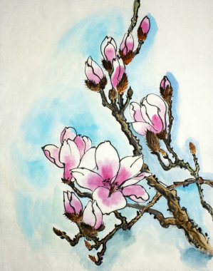 pembe Manolya çiçek