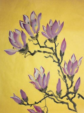 Lila Manolya çiçek