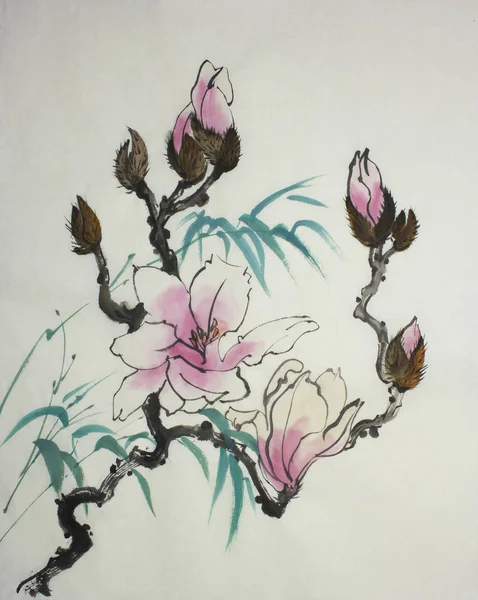 Eine Magnolienblume und ein Bambuszweig — Stockfoto