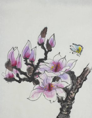 Parlak çiçek açan bir manolya Şubesi