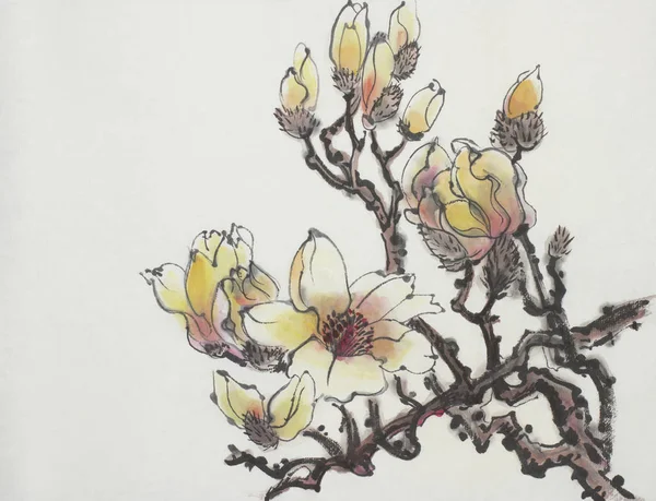 Branche lumineuse d'un magnolia en fleurs — Photo