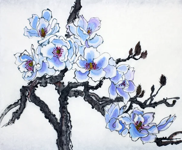 Heldere tak van een bloeiende magnolia — Stockfoto