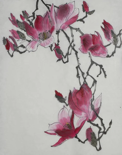 Branche lumineuse d'un magnolia en fleurs — Photo