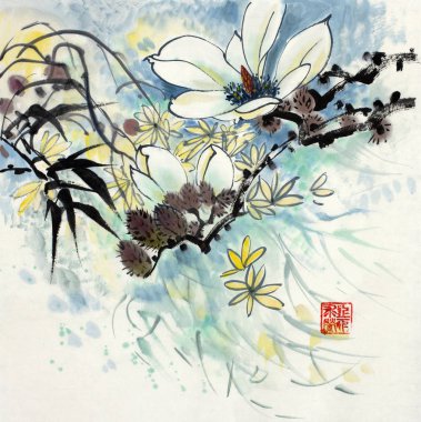 Güzel çiçek açan bir manolya Şubesi