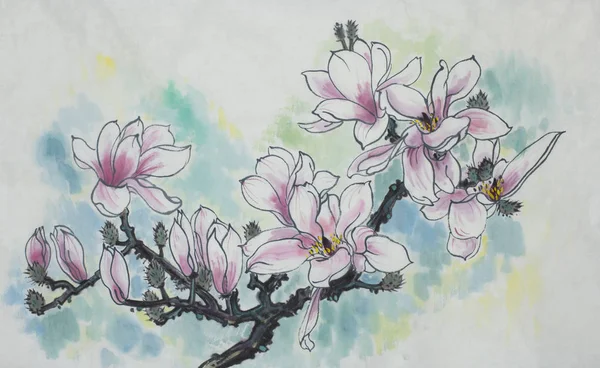Rama rosada de una magnolia floreciente — Foto de Stock