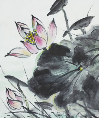 parlak lotus çiçeği