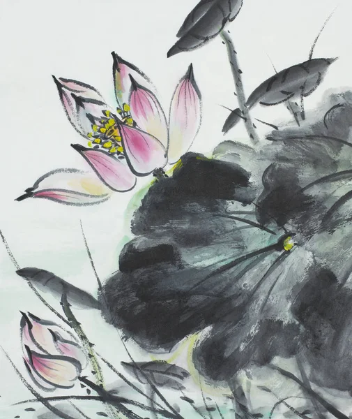 Квітка лотоса яскраві — стокове фото