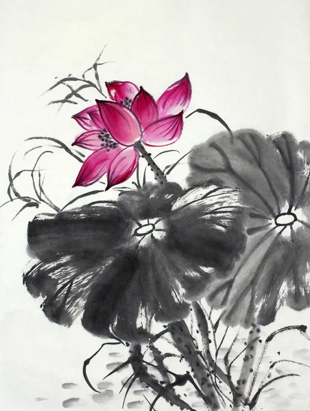 Parlak lotus çiçeği — Stok fotoğraf
