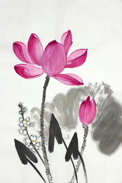 Lotosový květ a šipky — Stock fotografie