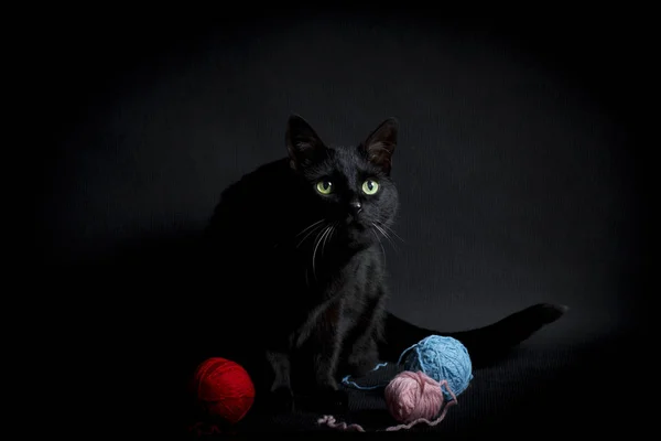Czarny kot i kolorowe kłębuszków — Zdjęcie stockowe