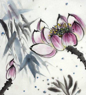 çizim çiçek açması Lotus