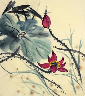çizim çiçek açması Lotus