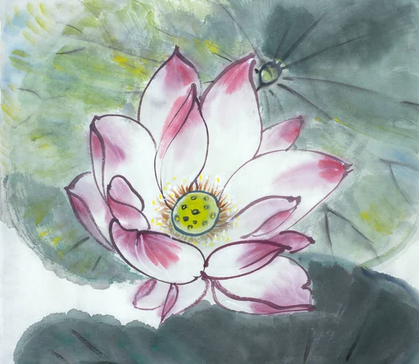 绘图的一朵朵盛开的莲花 — 图库照片
