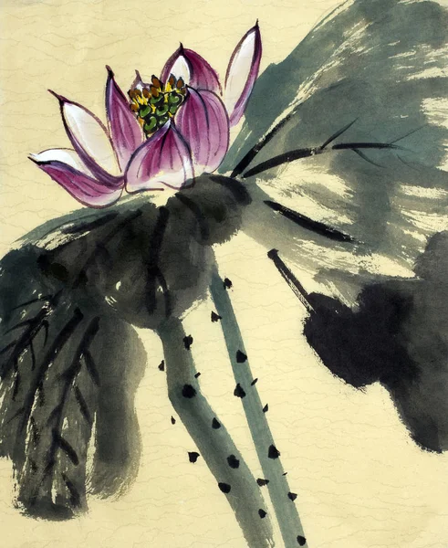 Egy virágzó lotus rajza — Stock Fotó