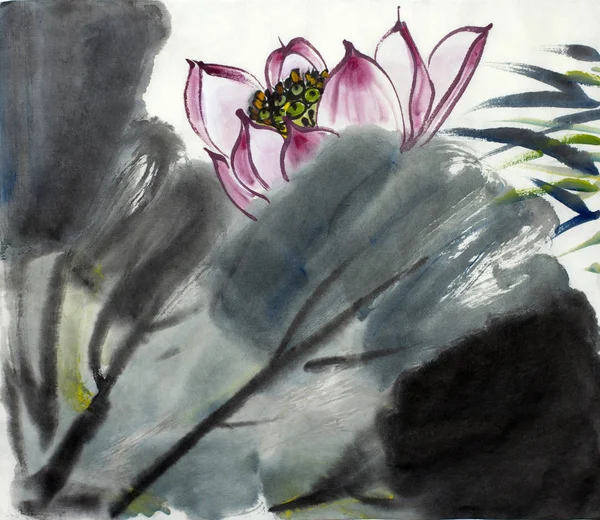 Çizim çiçek açması Lotus — Stok fotoğraf