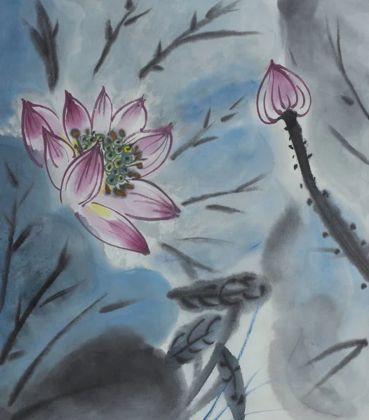 çizim çiçek açması Lotus