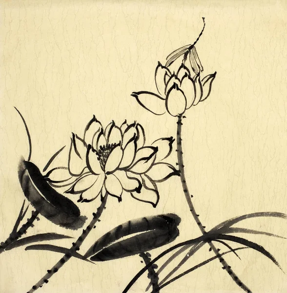 Sonsuzluğun lotus sembolü