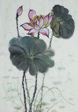 çizim çiçek açması Lotus