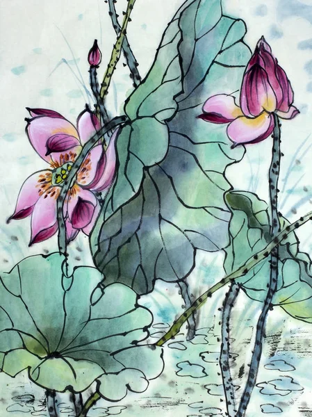 Dessin d'un lotus en fleurs — Photo