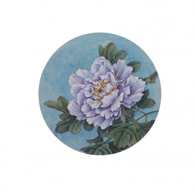 mavi bir arka plan üzerinde beyaz Şakayık