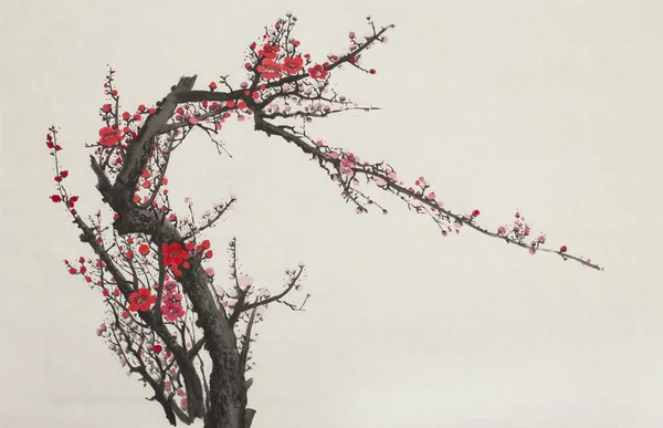 Árvore de ameixa brilhante e florida — Fotografia de Stock