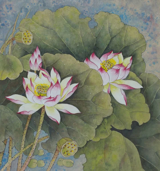 Lotus σύμβολο της αγνότητας — Φωτογραφία Αρχείου