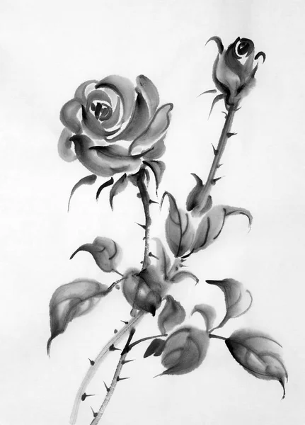 Σχέδιο του ένα τριαντάφυλλο σε λευκό φόντο — Φωτογραφία Αρχείου
