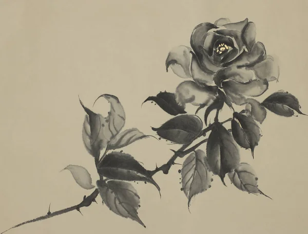 Монохромный цветок чёрной розы — стоковое фото