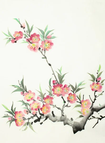 Flowering peach branch — Stock Photo, Image