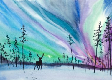 Parlak Aurora Borealis Noel 'de