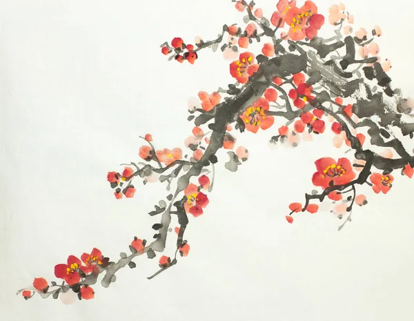 Kvetoucí švestka větev — Stock fotografie
